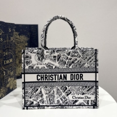 Christian Dior Shopping Bags